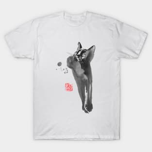 Relaxing Cat T-Shirt